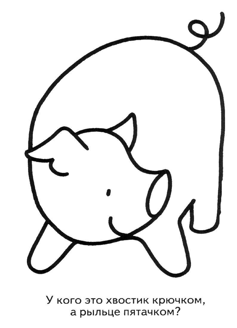 Coloring Pig. Category Coloring pages for kids. Tags:  animals, pig, kids.
