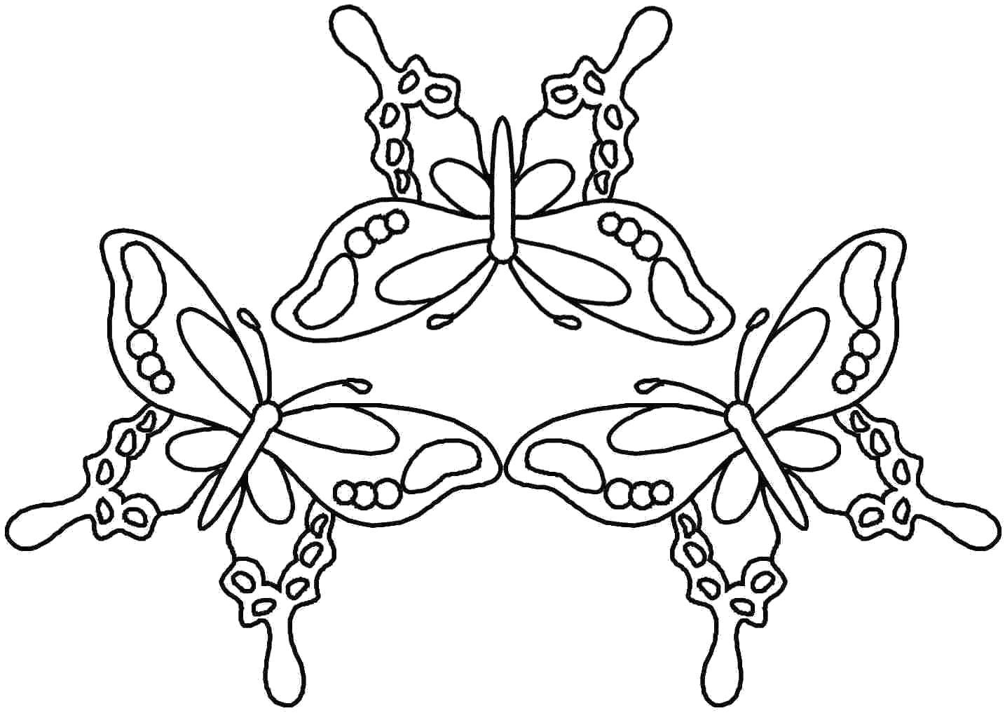 Название: Раскраска Три красивые бабочки. Категория: бабочки. Теги: Насекомые, бабочка.