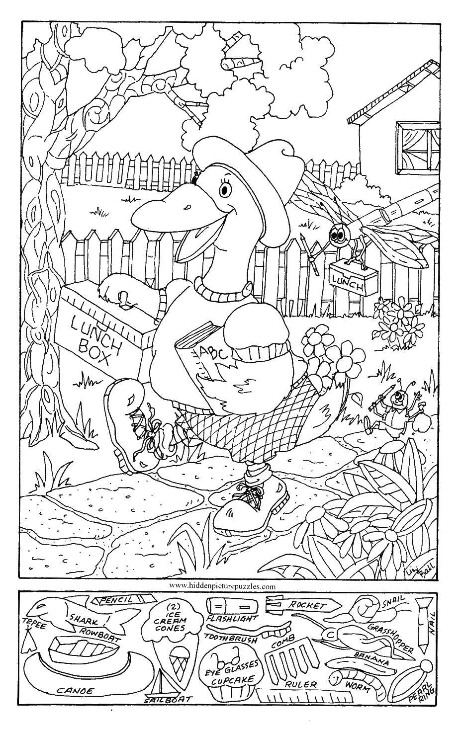 Coloring Duck goes to school. Category Find what is hidden. Tags:  Duck, bird.