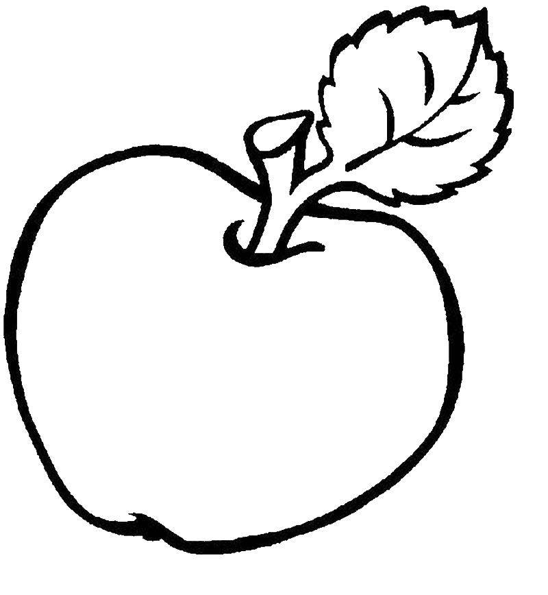 Coloring Apple. Category Coloring pages for kids. Tags:  fruit, Apple.