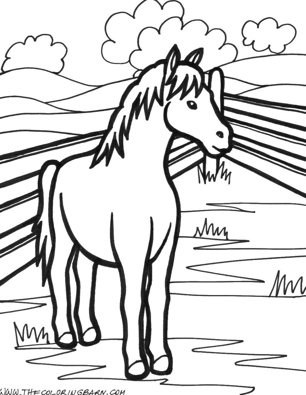 Название: Раскраска Загон с лошадкой. Категория: животные. Теги: Животные, лошадь.