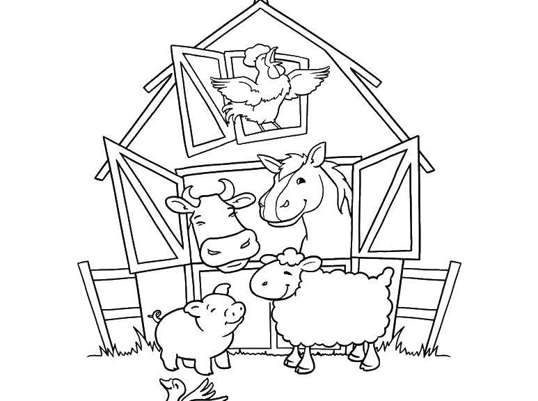 Coloring Farm animals in the hangar. Category animals. Tags:  animals, hangar.
