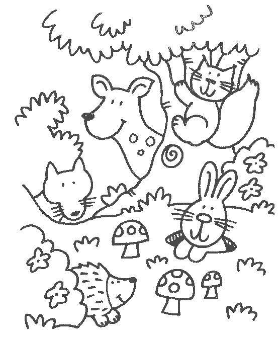 Coloring Animals are hiding in the woods. Category animals. Tags:  animals, forest.