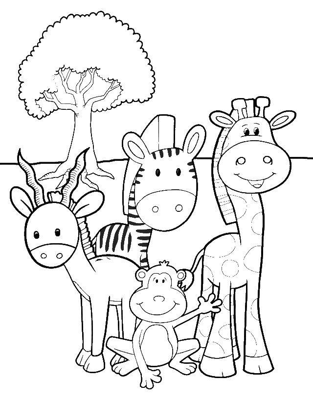 Coloring Animals zoo cute. Category animals. Tags:  animals, zoo.