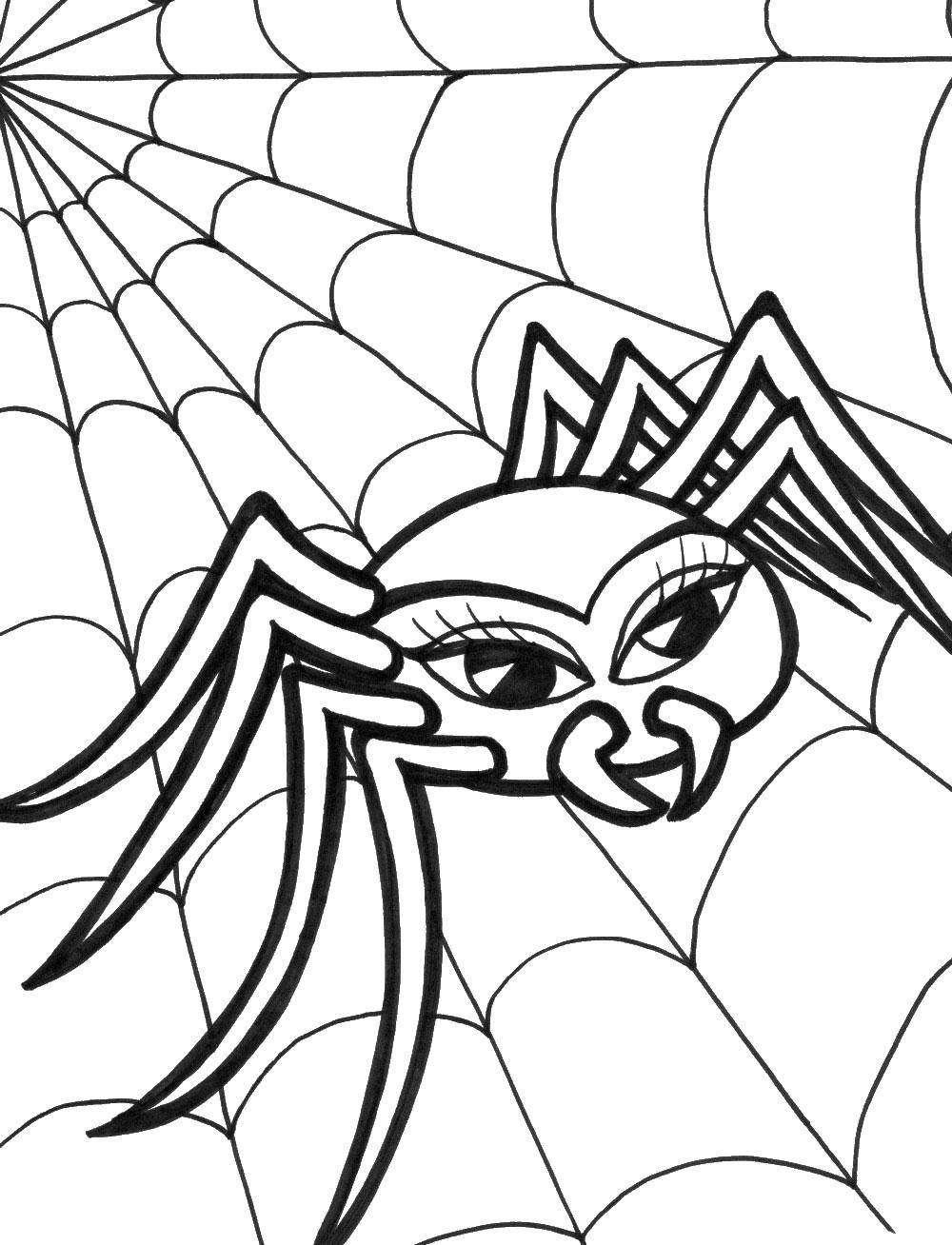 Coloring Black widow. Category spiders. Tags:  spider, web, insect, the female black widow.