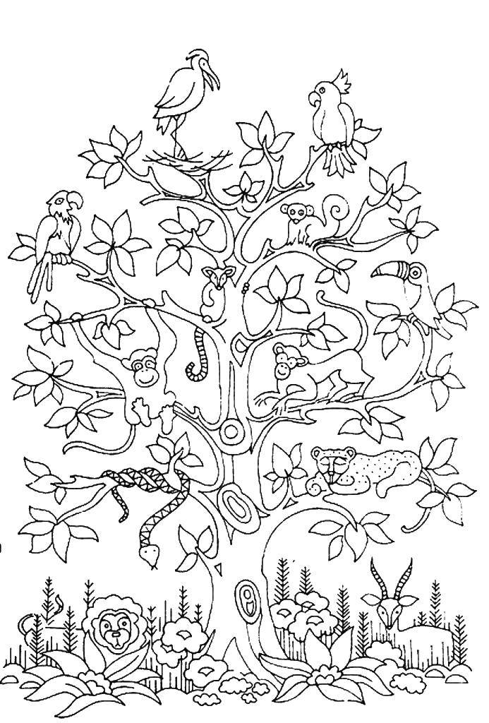 Название: Раскраска Дерево с животныеми. Категория: Животные. Теги: животные, дерево, природа.