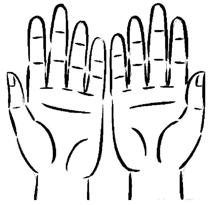 Coloring Two hands. Category hand. Tags:  hands, hands.