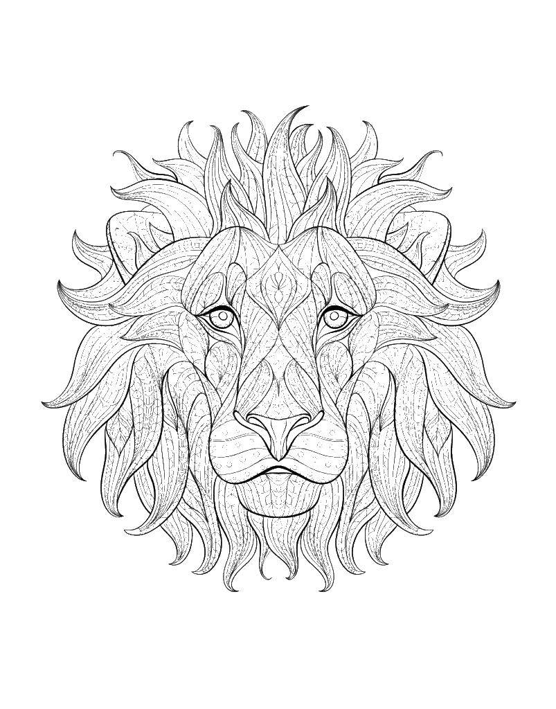 Coloring Mane. Category Animals. Tags:  animals, lions, mane.