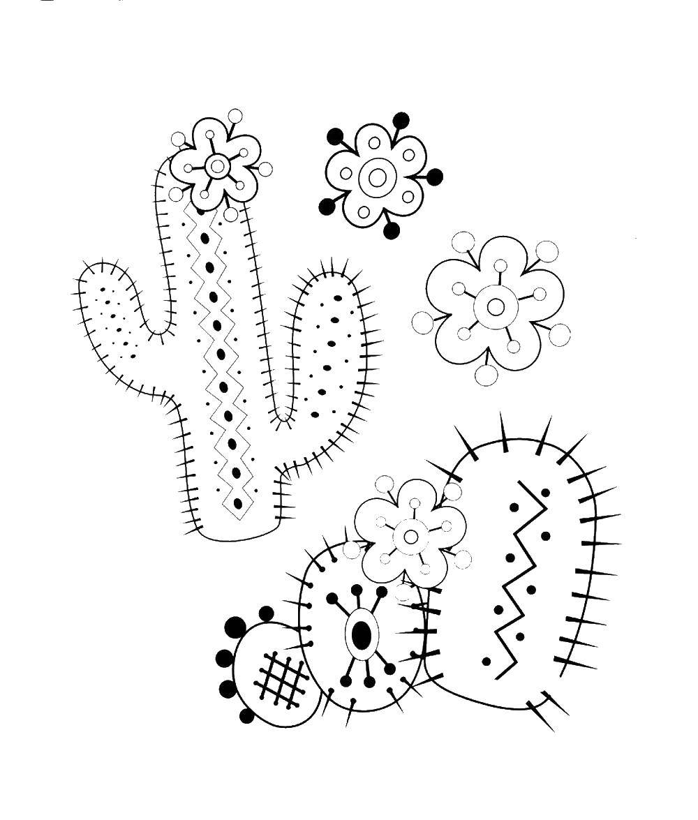 Название: Раскраска Кактусы с узором. Категория: кактус. Теги: кактус, цветы.