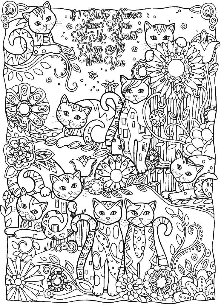 Coloring Cats and patterns. Category Bathroom with shower. Tags:  antisress, patterns, cats.