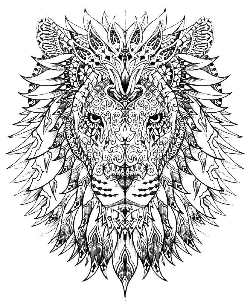 Coloring The lion and the patterns. Category Bathroom with shower. Tags:  the antistress, patterns, lions.