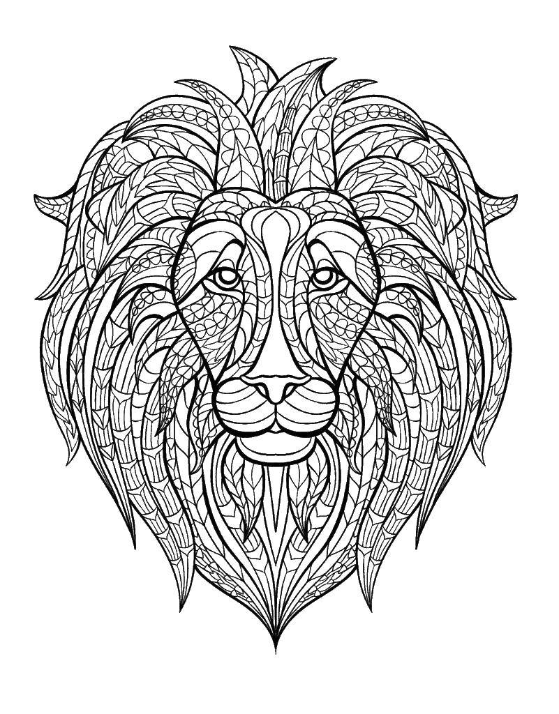 Coloring The lion of patterns. Category patterns. Tags:  patterns, lions, antistress.
