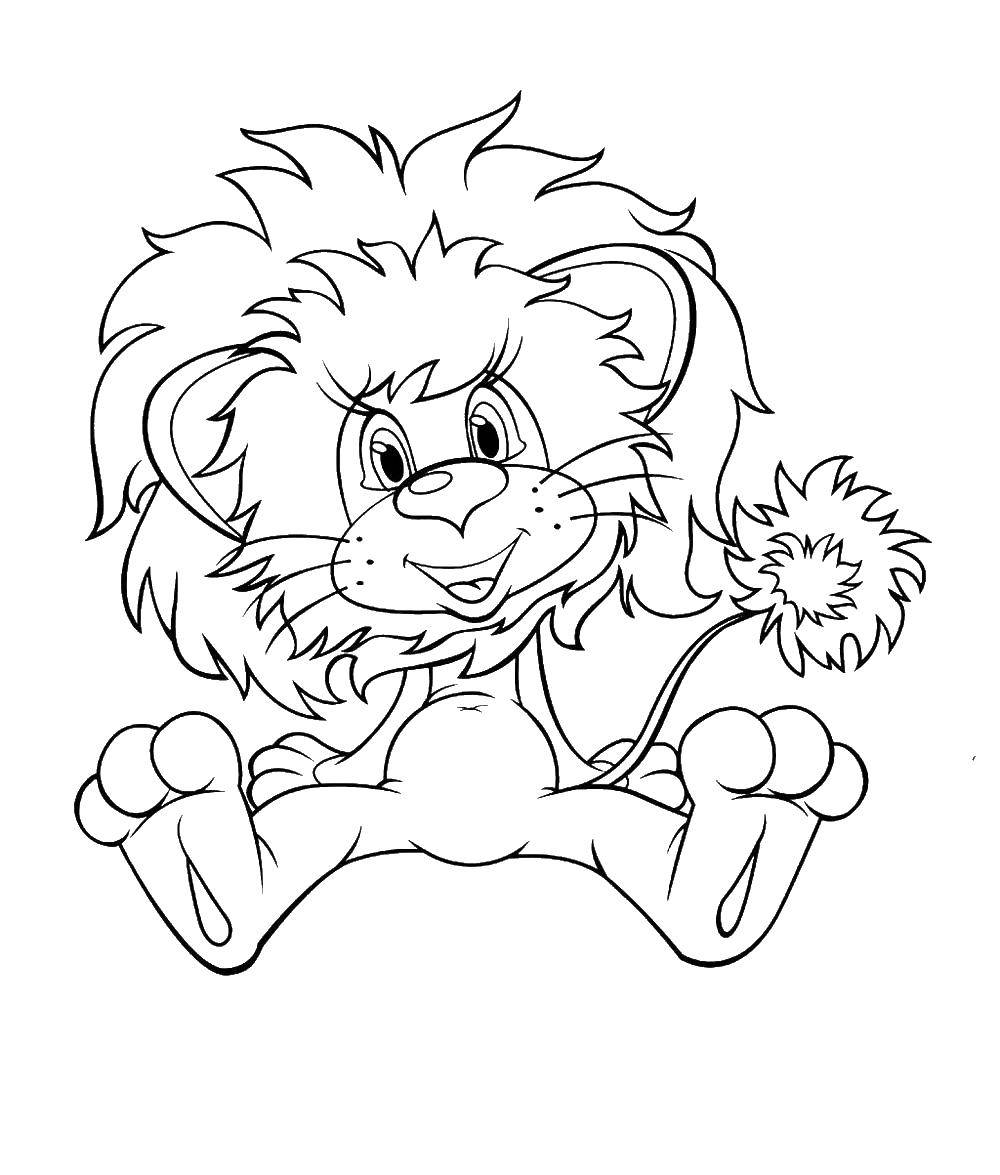 Coloring Little lion. Category Animals. Tags:  animals, lion.