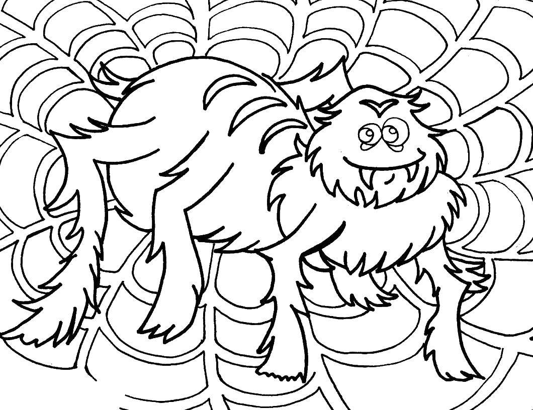 Coloring Hairy spider. Category spiders. Tags:  spider, web, insect, legs.