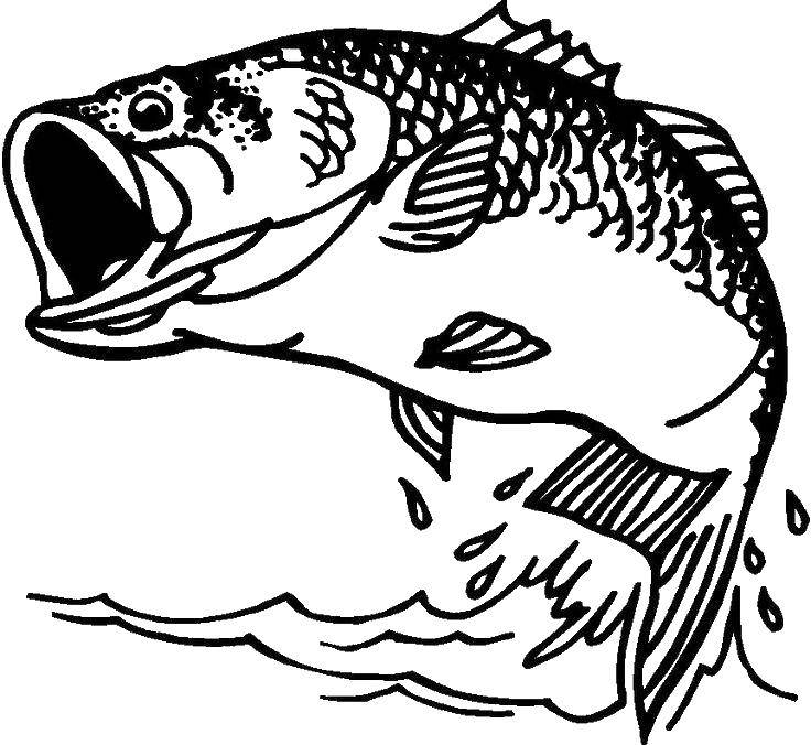 Название: Раскраска Озерная рыба. Категория: Контуры рыбы для вырезания. Теги: рыба.