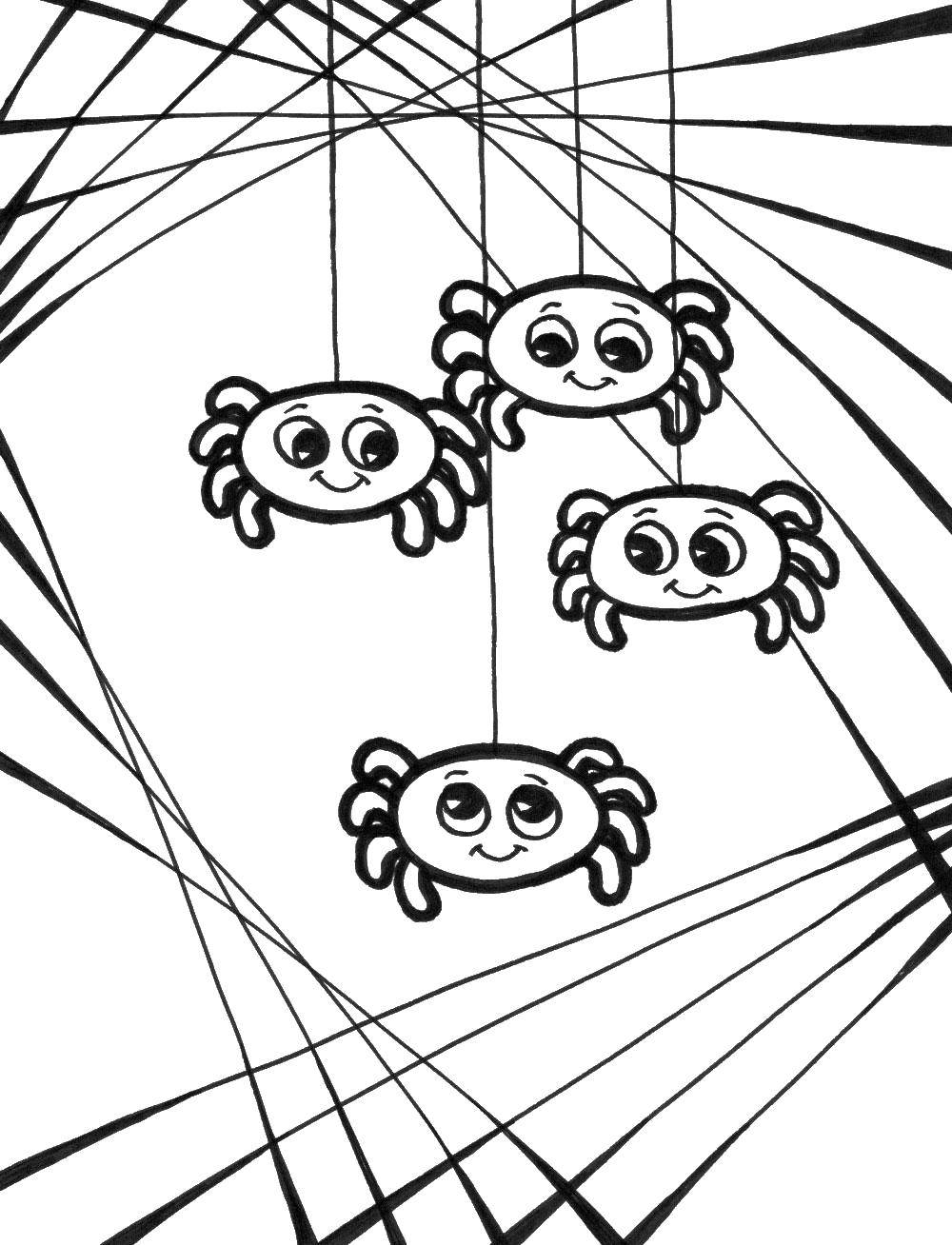Название: Раскраска Паучки на паутине. Категория: пауки. Теги: паук, паутина, насекомое.