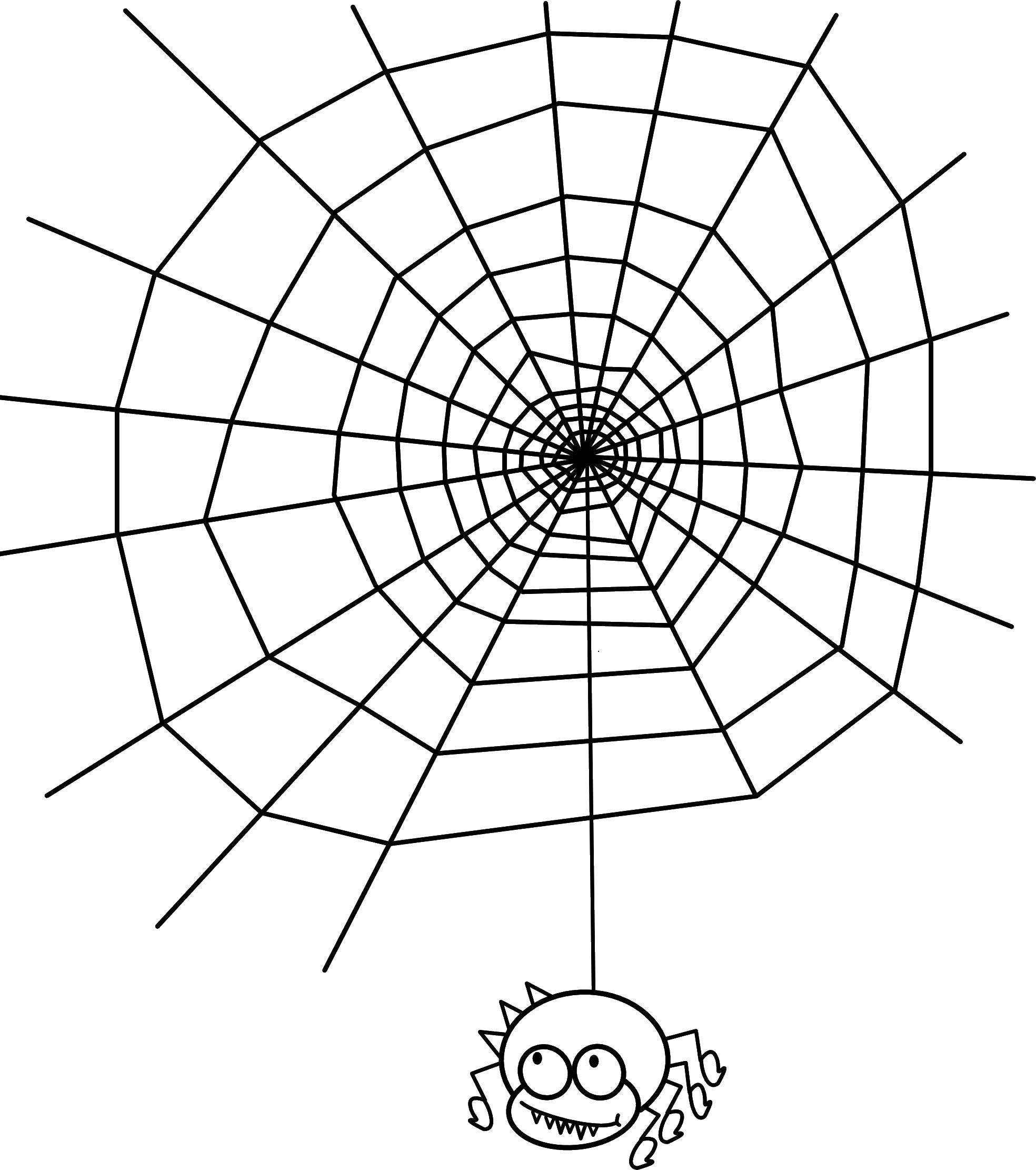 Название: Раскраска Паучок на паутине. Категория: пауки. Теги: паук, паутина, насекомое.