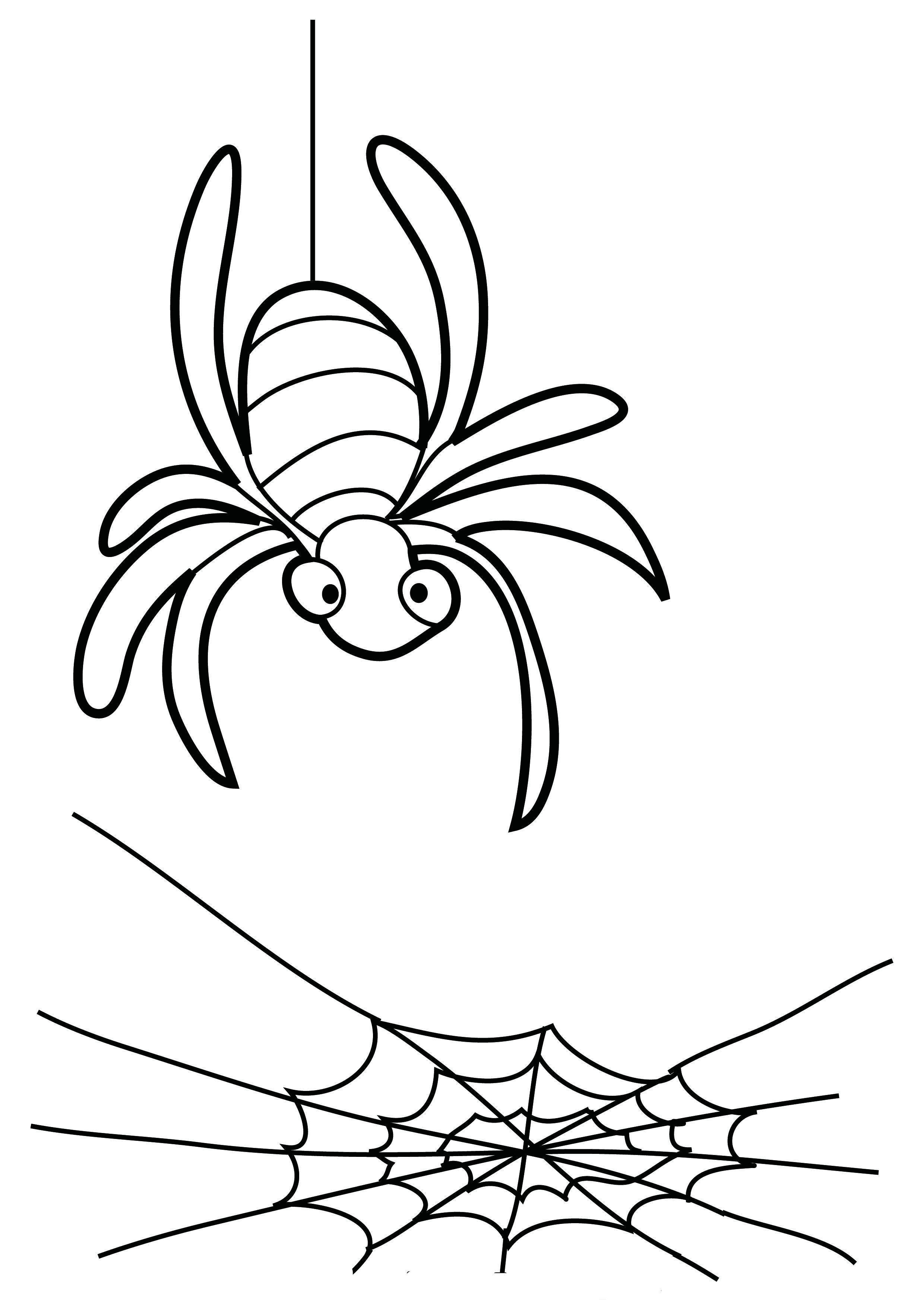 Название: Раскраска Паучок спускается на паутине. Категория: пауки. Теги: паук, паутина, насекомое.