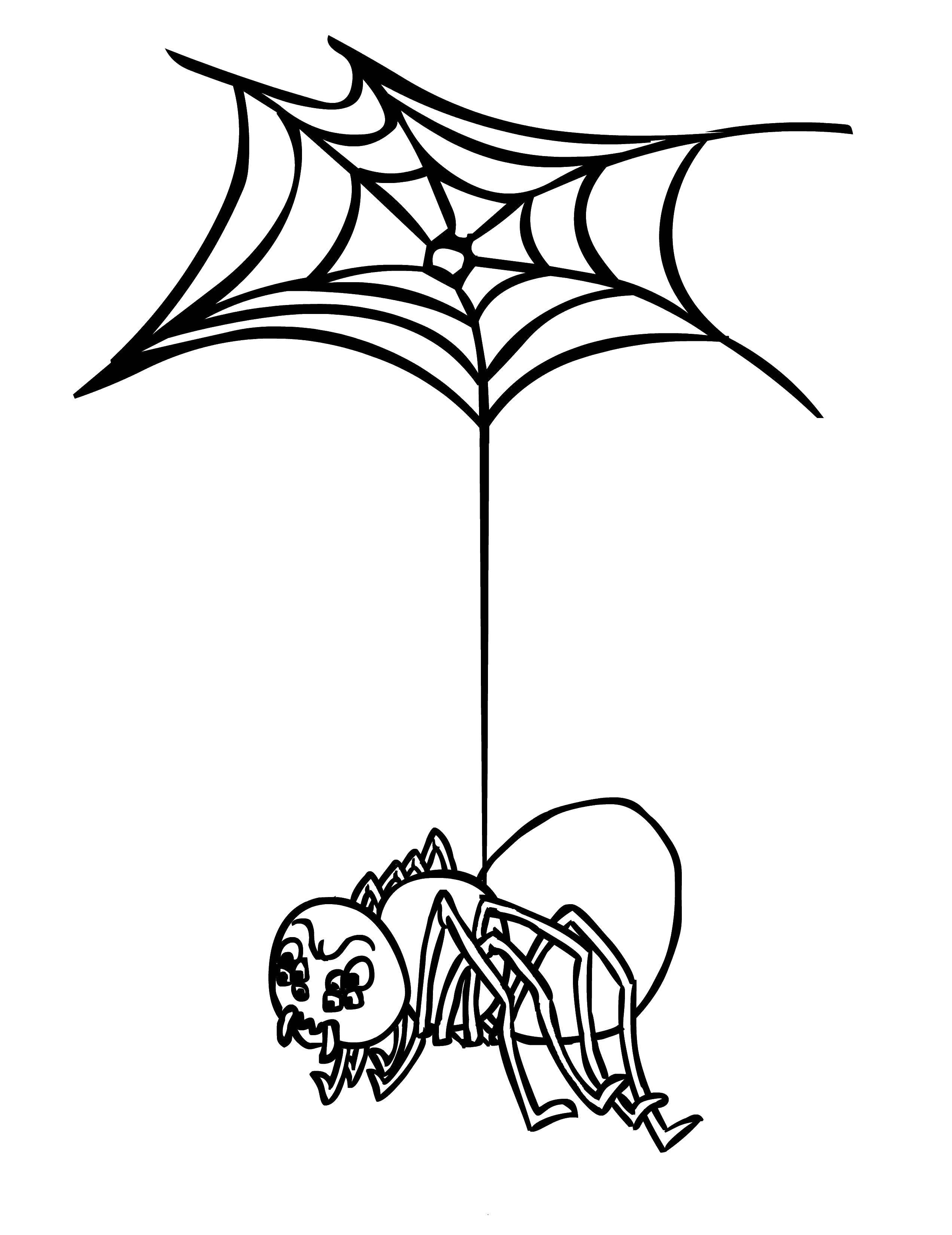 Название: Раскраска Паучок свисает на паутине. Категория: пауки. Теги: насекомое, паук, паутина.