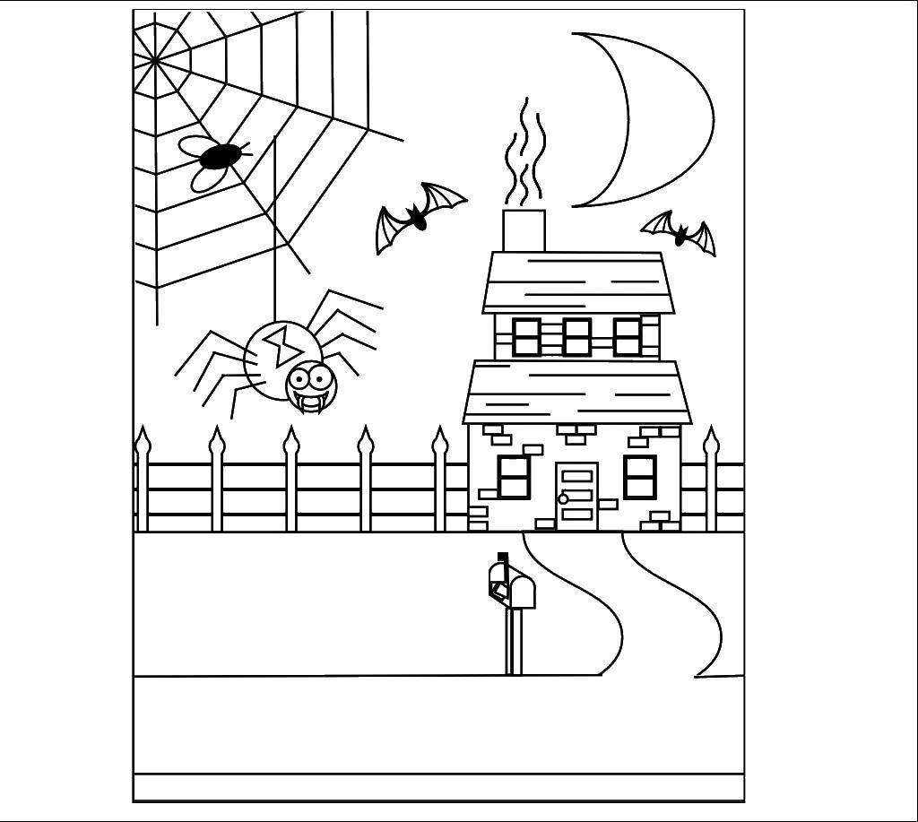 Название: Раскраска Паук возле дома. Категория: пауки. Теги: паук, паутина, насекомое, город.