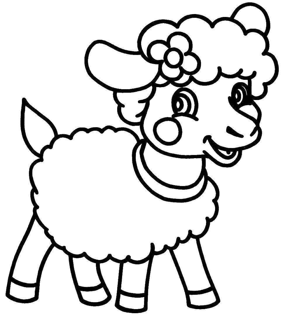 Название: Раскраска Рисунок овечки. Категория: домашние животные. Теги: баран.
