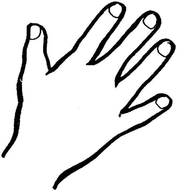 Название: Раскраска Рука. Категория: рука. Теги: пальцы, ногти, рука.