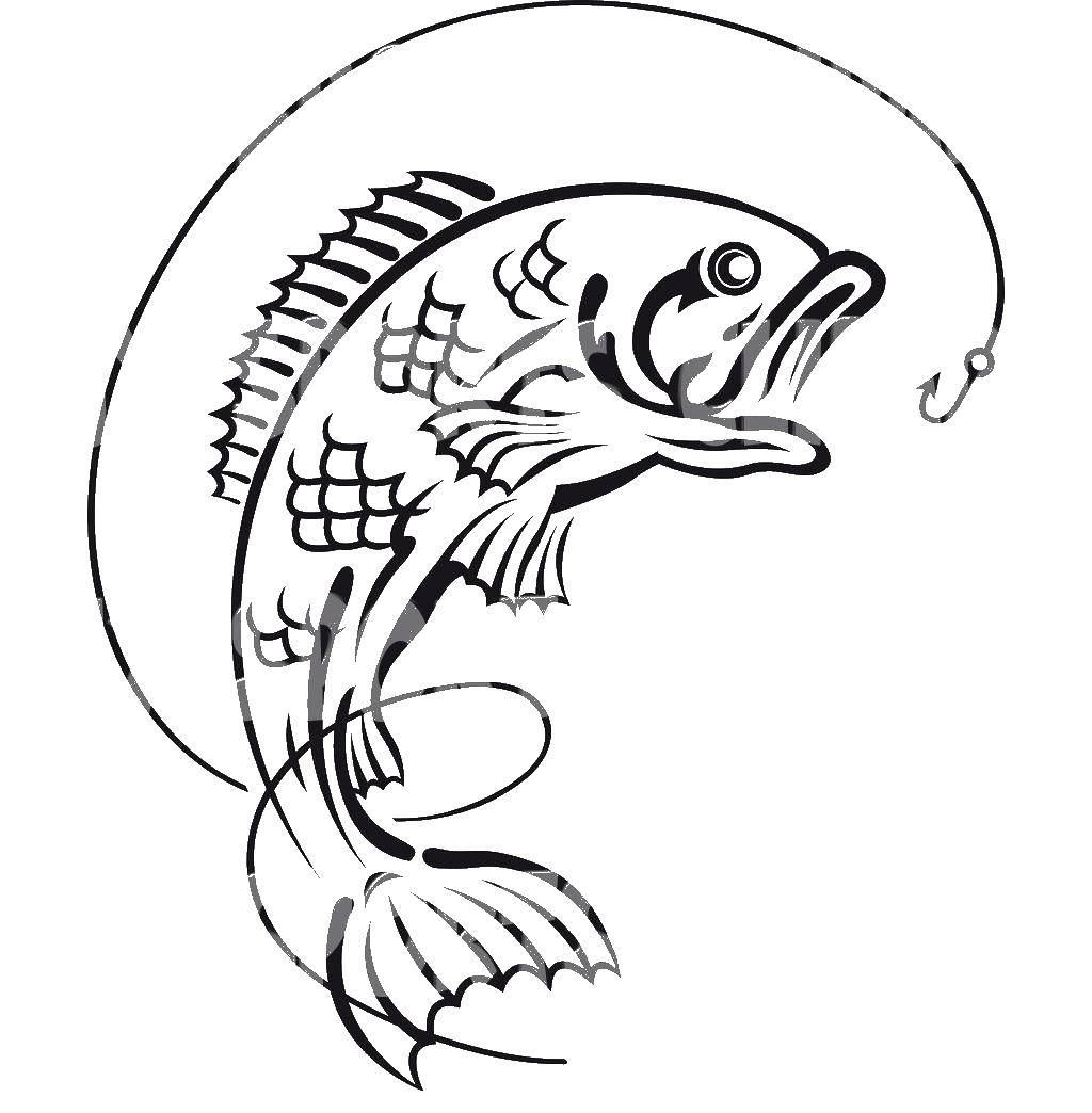 Название: Раскраска Рыба на рючке. Категория: Контуры рыбы для вырезания. Теги: рыбы, крючок.