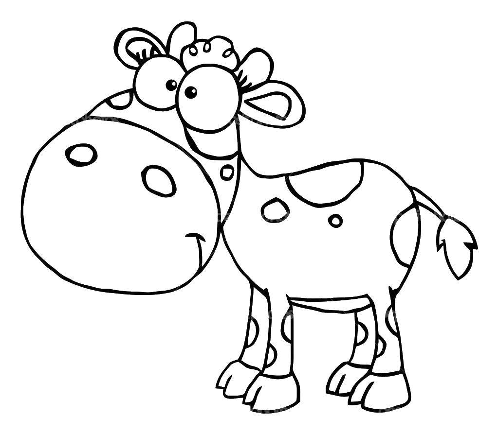 Название: Раскраска Смешная корова. Категория: Контур коровы для вырезания. Теги: Животные, корова.