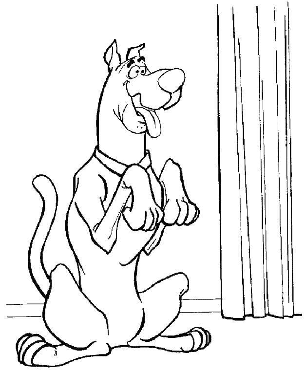 Coloring Dog Scooby Doo. Category Scooby Doo. Tags:  the dog, Scooby Doo, cartoons.