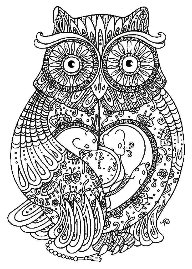 Coloring Owl patterns. Category patterns. Tags:  patterns, anti-stress, owls.