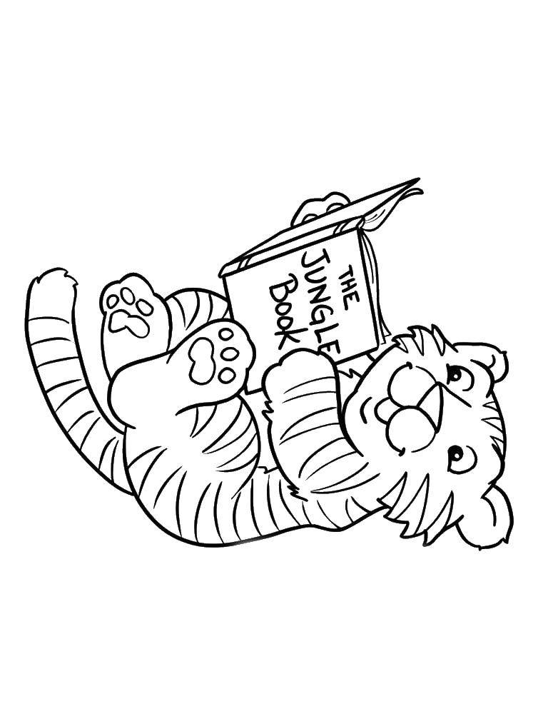 Название: Раскраска Тигренок играет с книгой джунглей. Категория: Животные. Теги: Животные, тигр.