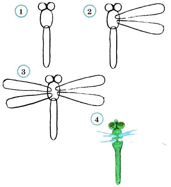Coloring Learn to draw a dragonfly. Category Insects. Tags:  paint, learn, dragonfly.