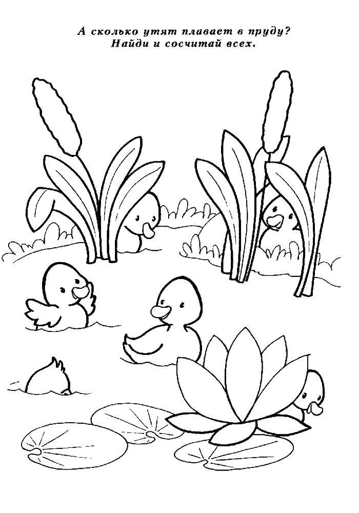 Coloring Ducklings in the pond. Category Coloring pages. Tags:  ducklings, pond.
