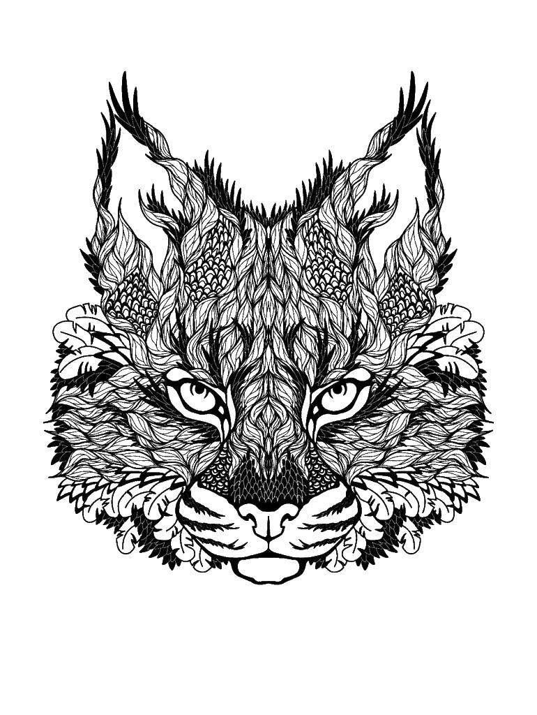 Coloring Patterned lynx. Category patterns. Tags:  Patterns, animals.