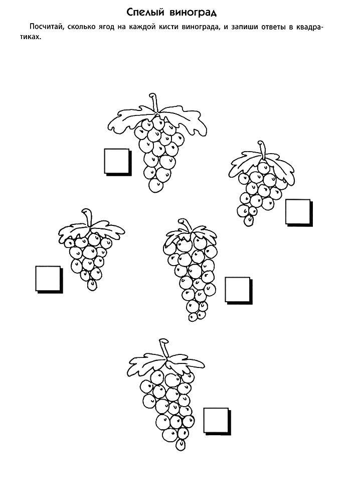 Coloring Vinohrady. Category Coloring pages. Tags:  Coloring pages, grapes.