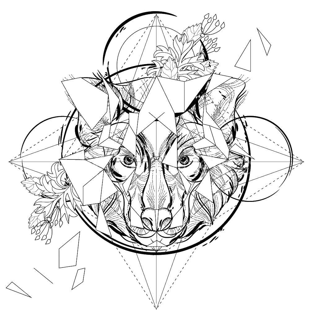 Coloring Wolf and shapes. Category wolf snout. Tags:  wolf , animals, shapes.