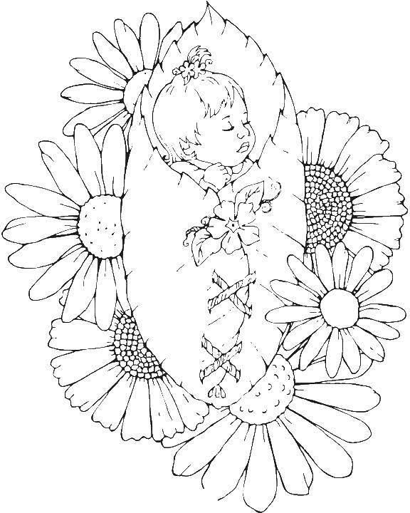 Розмальовки  Феєчка дитина спить на квітці. Завантажити розмальовку фея, квіти.  Роздрукувати ,Фентезі,
