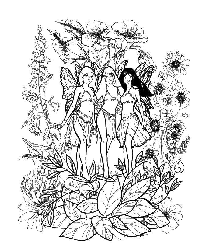 Розмальовки  Три феї на квітці. Завантажити розмальовку феї, феї, квіти.  Роздрукувати ,феї,