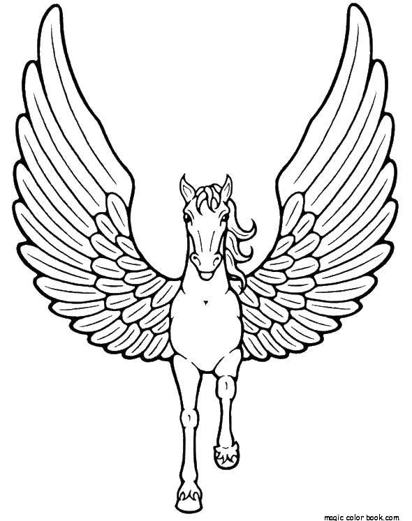 Coloring Large wings of Pegasus. Category The magic of creation. Tags:  Magic create.