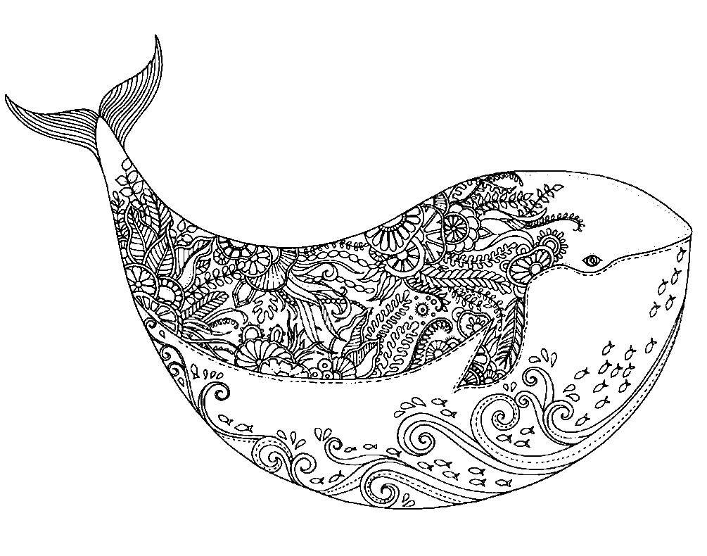 Название: Раскраска Кит в узорах. Категория: кит. Теги: Узоры, животные.