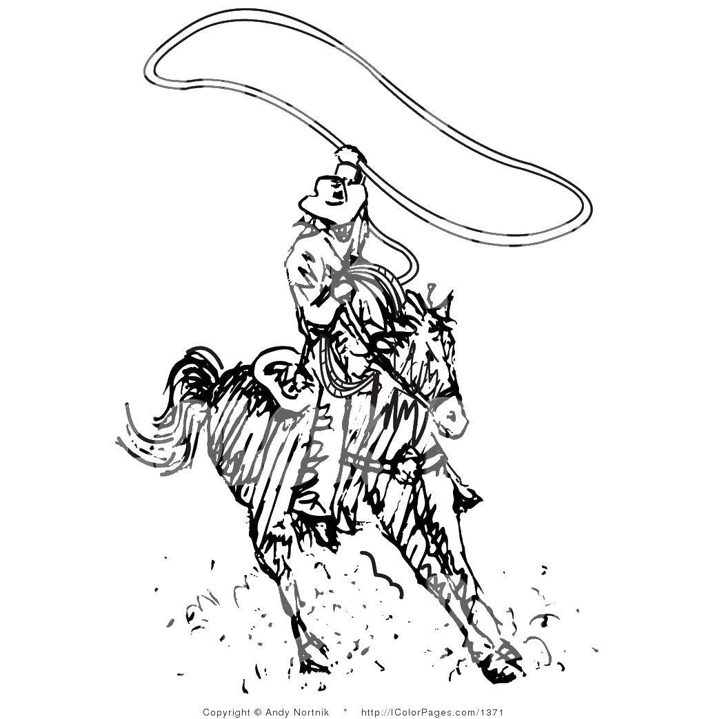 Название: Раскраска Ковбой на лошади с лассо. Категория: Животные. Теги: Животные, лошадь.