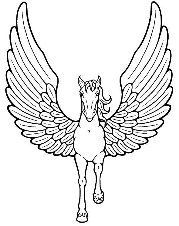 Название: Раскраска Крылатая лошадь. Категория: раскраски. Теги: крылья, лошадь, Пегас.
