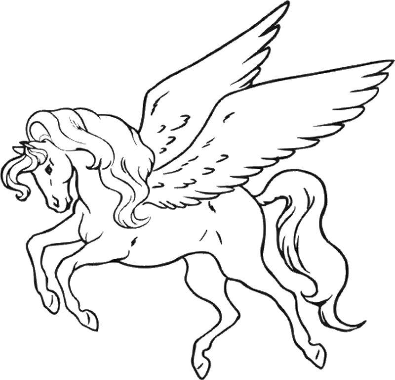 Название: Раскраска Крылатый конь пегас. Категория: Волшебные создания. Теги: Волшебное создание.