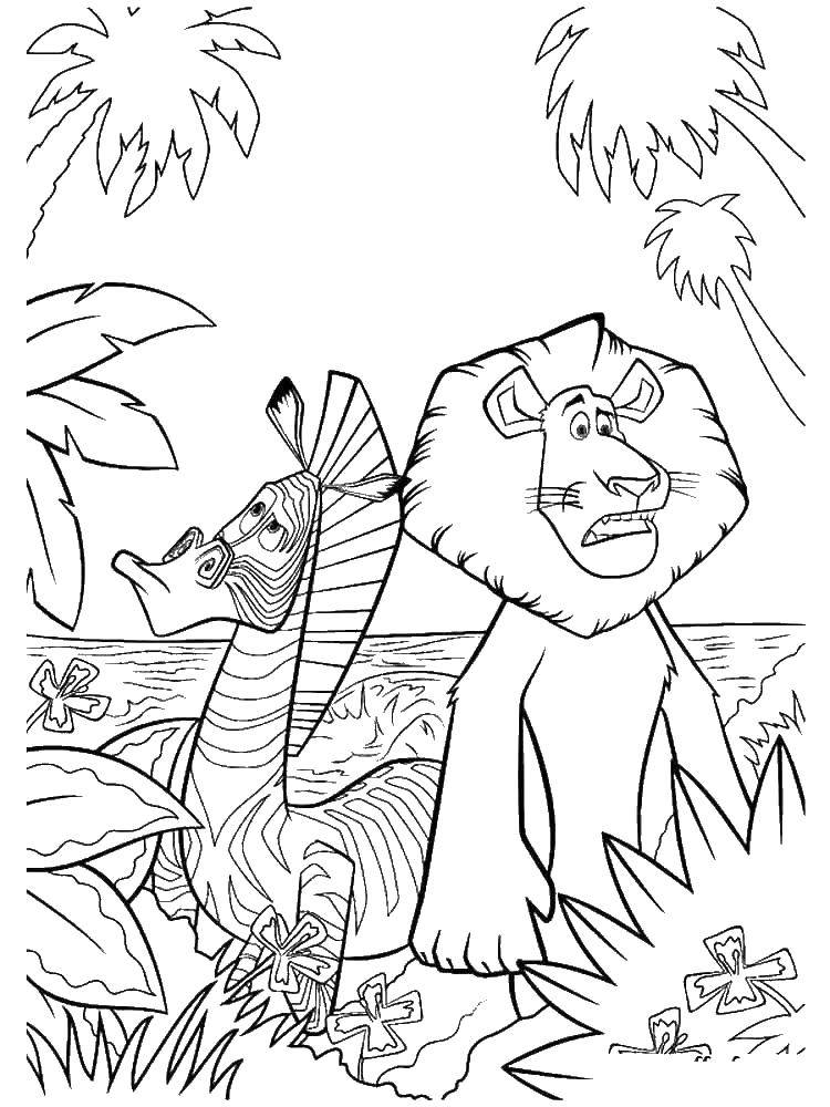 Coloring The lion and the giraffe from Madagascar. Category Madagascar. Tags:  Madagascar, giraffe, lion, cartoons.
