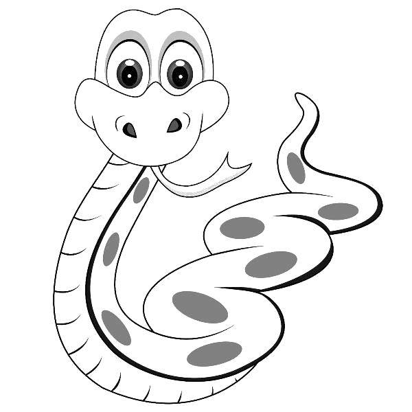 Coloring Curious snake. Category the snake. Tags:  Reptile, snake.