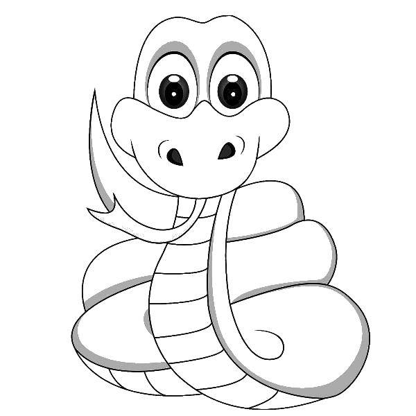 Название: Раскраска Милашка змейка. Категория: змея. Теги: Рептилия, змея.