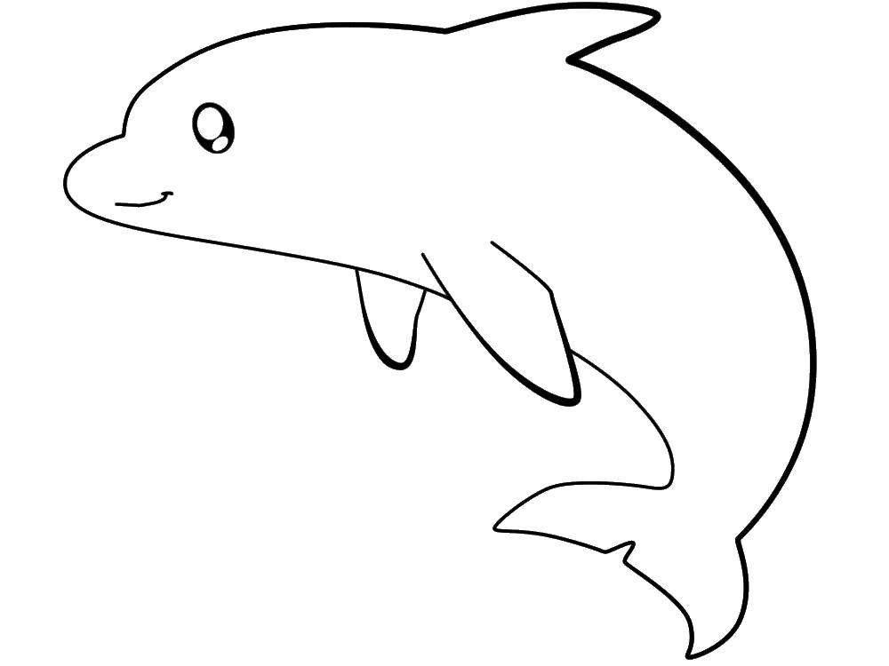 Название: Раскраска Морской дельфинчик. Категория: дельфины. Теги: Подводный мир, дельфин.
