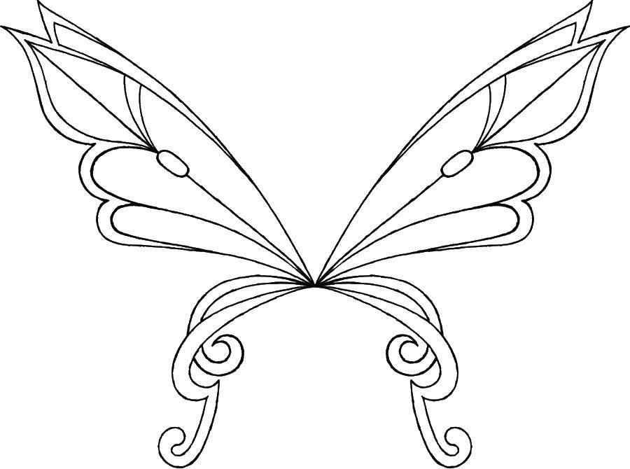 Coloring Unusual butterfly. Category coloring. Tags:  butterfly, wings.
