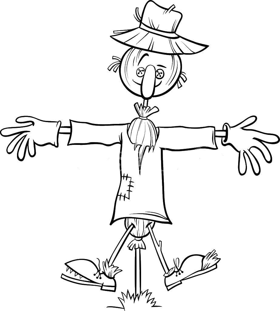 Coloring Scarecrow. Category Scarecrow. Tags:  Scarecrow.