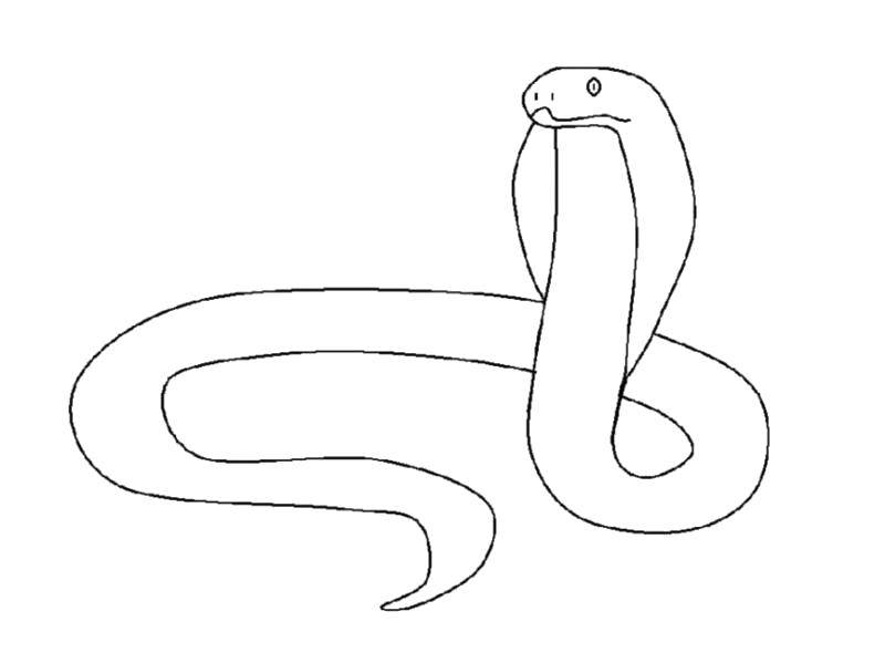 Название: Раскраска Опасная змея кобра. Категория: змея. Теги: Рептилия, змея.